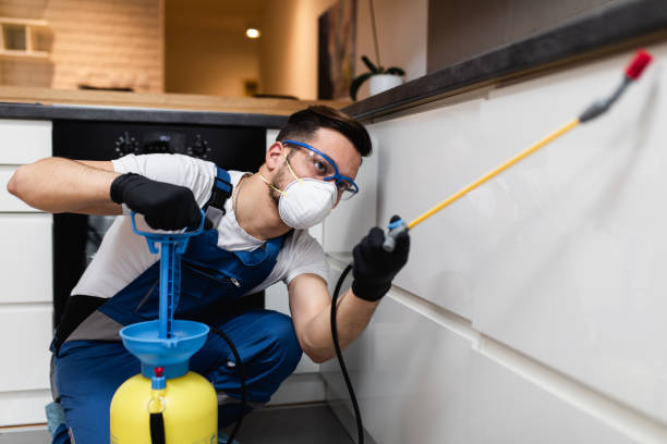 Best Commercial Pest Control Services  in Independence, MO