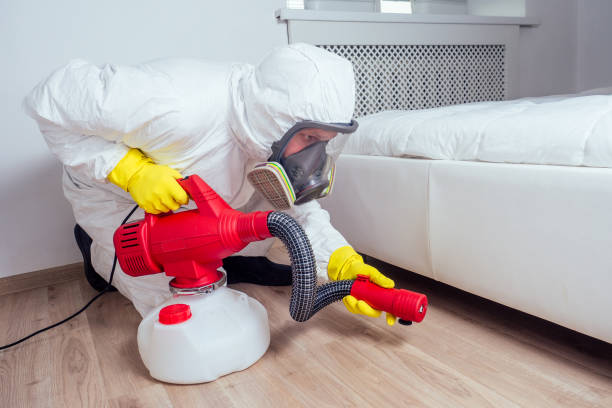 Best Pest Prevention Services  in Independence, MO