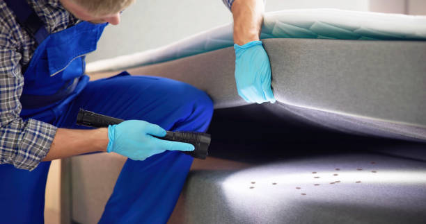 Pest Control for Restaurants in Independence, MO