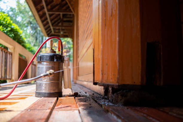 Best Cockroach Control Services  in Independence, MO