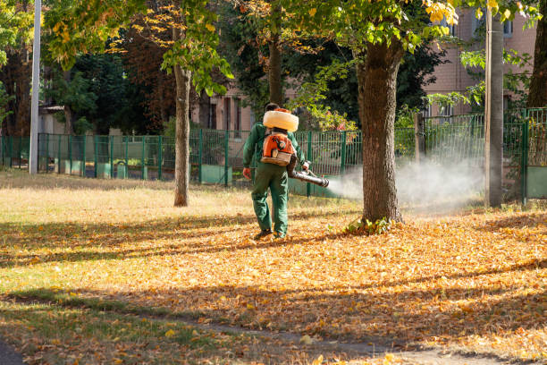 Best Local Pest Control Services  in Independence, MO