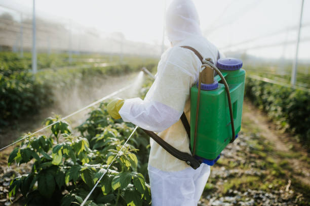 Best Exterminator Services  in Independence, MO